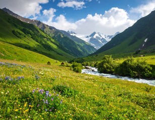 Lush valley with snow-capped mountains