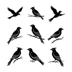 Black silhouette birds flying and perched on branches against white background vector