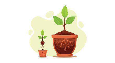 Obraz premium Plant Growth Stages in Pots Illustration.