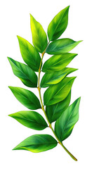 Vibrant green leaf sprig