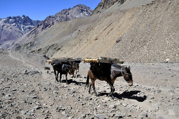Horsemen in a river valley in the desert between the mountains. Gray mountains. Bare mountainous terrain
