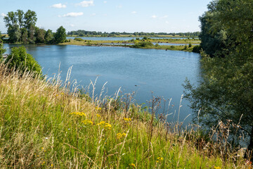 De Wissen-Negenoord natural area, part of flood accomodation measures (room for the river) along the  Meuse river near Stokkem, Belgium. Konik horses grazing. © Roel