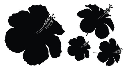 Four black hibiscus flowers in a distinctive silhouette style