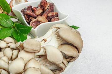 Assortment of various mushrooms - fresh, dried and pickled. Oyster, cremini, porcini and shiitake