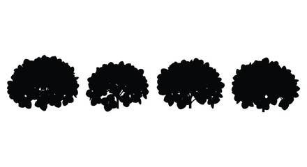 Four distinct black tree silhouettes with detailed foliage patterns silhouette
