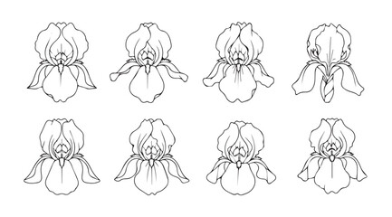 Collection of eight delicate iris flower line art drawings silhouette
