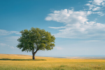 Obraz premium stunning summer landscape featuring solitary tree against backdrop of ultrabright blue sky