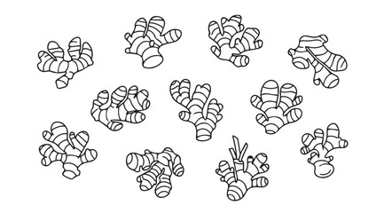 Collection of hand drawn ginger root illustrations in a stylized silhouette