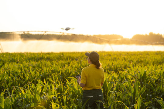 Farmer monitoring irrigation with drone and tablet in field at sunset
