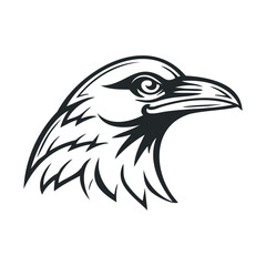 Fototapeta premium A simple side profile sketch of a human skull.