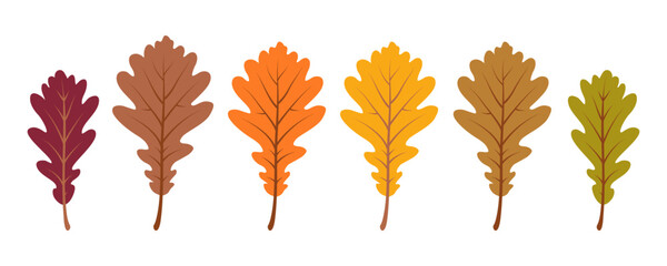 Oak leaves in autumn warm colors. Set of various colorful fall foliage isolated on white background. Hand drawn vector illustration in flat style. Botanical elements for autumnal design