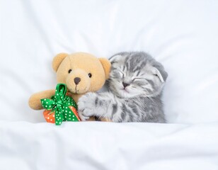Cute kitten sleeping with teddy bear