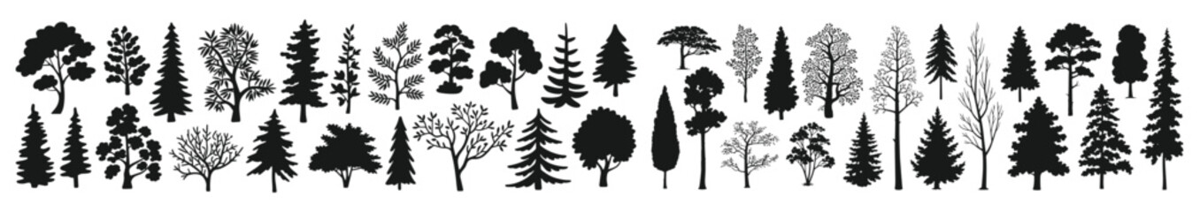 Pine tree silhouettes. Evergreen forest firs and spruces black shapes, wild nature trees vector