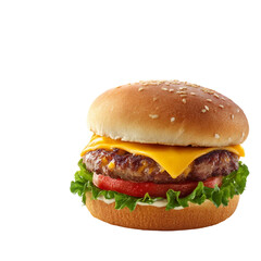  Delicious burgers on a white background