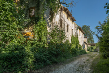 Path Through Overgrown Ancient Buildings in Collecchio, Parma - Italy