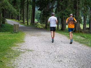 Two Men Jogging In A Forest On A Summer Trail