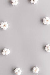 Cotton flowers frame on grey background top view copy space