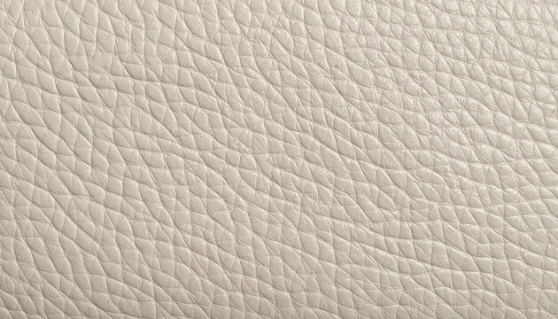 Neutral Beige Pebble Grain Leather Texture