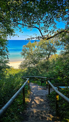 Forest Path Leading to Baltic Sea Beach