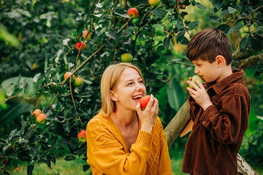 Mother and son eating apples under apple tree in rural autumn garden
