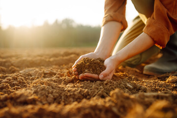 An experienced farmer kneels in a plowed field, letting the soil fall through his fingers. An agronomist assesses the quality of black soil before sowing at sunset. Gardening and farming concept.