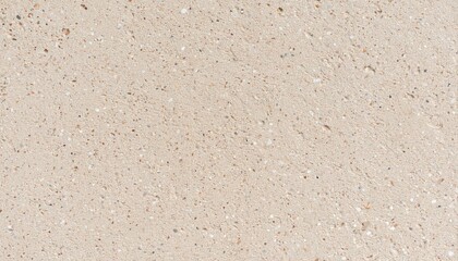 Pitted Matte Bone Texture: Neutral Background with Tiny Pores