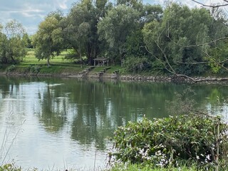 Obraz premium Drava River bank.