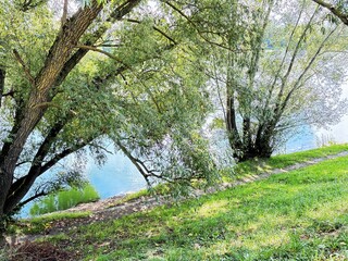 Drava River bank.