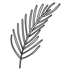 Pine Twig Doodle, Needle Branch Sketch, Conifer Twig Illustration