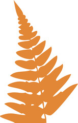 Orange Silhouette of a Fern Frond on White leaf leaves