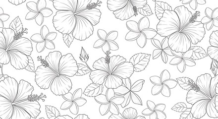 Delicate floral pattern with hibiscus and plumeria flowers outlines