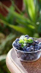 Bowl of fresh blueberries garnished with mint leaves, placed on a wooden table, surrounded by lush green foliage, showcasing vibrant colors, stories templates with copy space