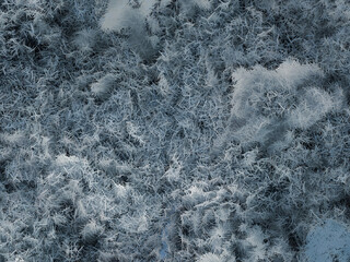 Abstract 3d particle effect background, resembling magnified dense fibers.