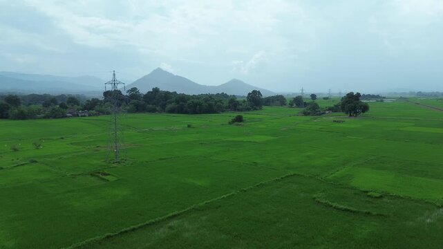 Aerial view of vibrant green fields stretching to the horizon with pylons and distant hills under a cloudy sky, Bundu, Jharkhand, India.