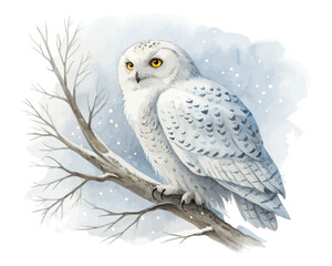 Watercolor snowy owl sitting on branch vector illustration isolated on white background
