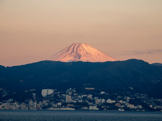FUJI
