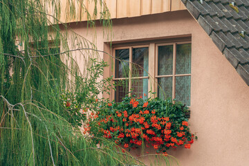 Traditional alpine house in Slovenia with window decorated by red pelargonium flowers.