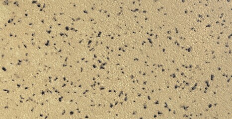 High Quality Seamless Pale Yellow Beige Speckled Texture Background