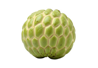 A single, round cherimoya fruit, displayed against a stark black background, showcases a unique textured skin.