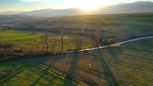 Aerial nature, agricultural scenery, road across the fields, golden hour
