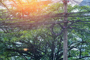 Urban Power Lines Among Green Trees