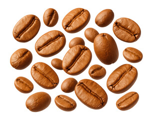 Whole coffee beans, cinnamon roast, lightest color