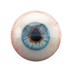 Realistic human eyeball with light blue iris and visible red veins on transparent background, detailed anatomy for medical visuals.