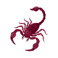 Detailed Brown and Maroon Scorpion Vector Illustration - Danger, Poison, and Zodiac Symbol