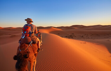 Desert Safari Adventure in Morocco