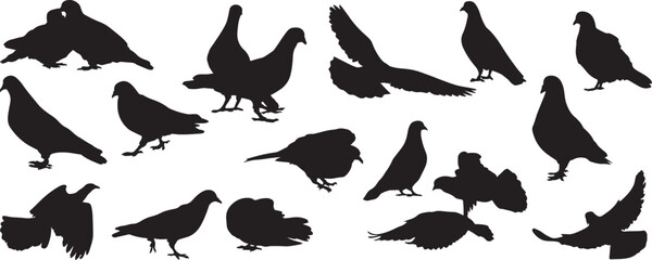 pigeon silhouette vector, dove flying outline, dove shadow clipart, city pigeon shape, bird silhouette design, dove love logo, flying city bird, pigeon bird outline, sparrow dove clipart, cartoon pige