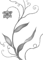 Plant Flowers and Stems Detailed Pencil Drawing