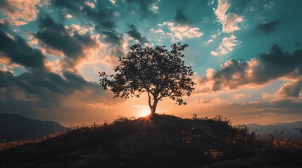 A lone tree stands tall on a hilltop, silhouetted against a dramatic sunset sky. The sun's rays burst through the clouds, casting a golden glow on the landscape.