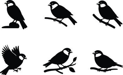 Set of bird silhouettes perched on branches and in flight, perfect for nature, wildlife, and decorative vector illustrations.