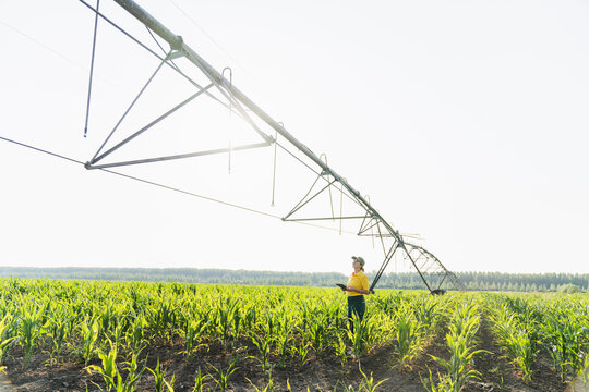 Farmer using digital tablet for irrigation in corn field outdoors